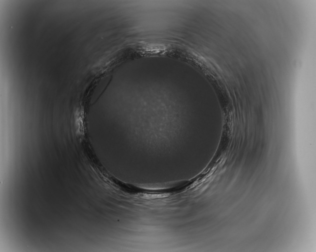 X0000094941394200711291344