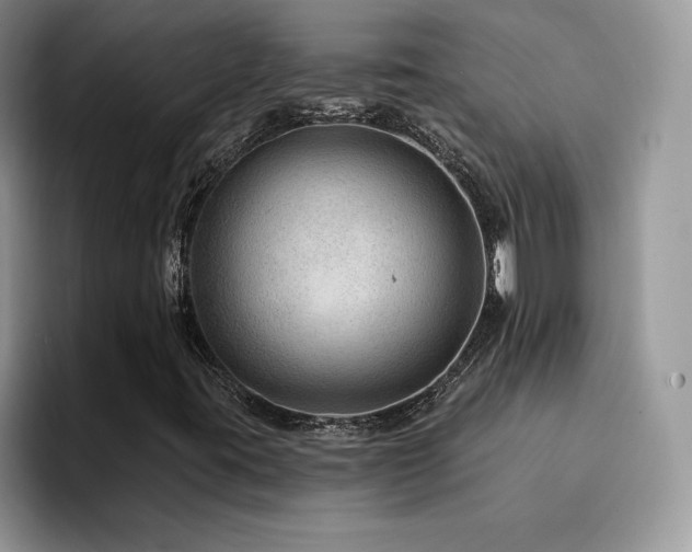 X0000094941395200711291344