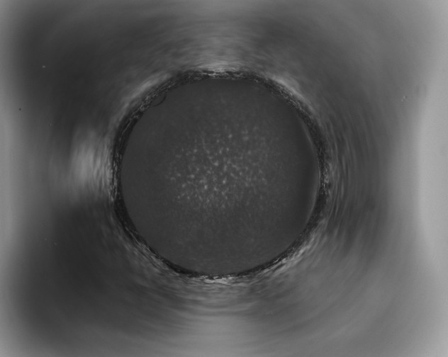 X0000094941398200711291344