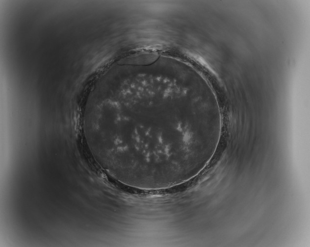 X0000094941399200711291344