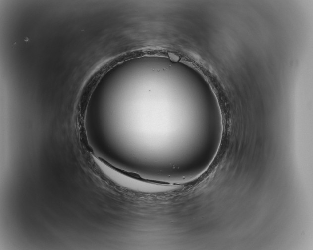 X0000094941400200711291344