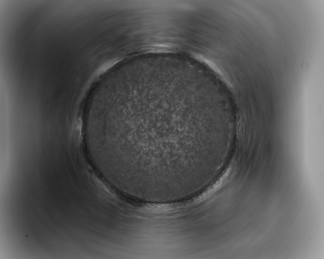 X0000094941402200711291344