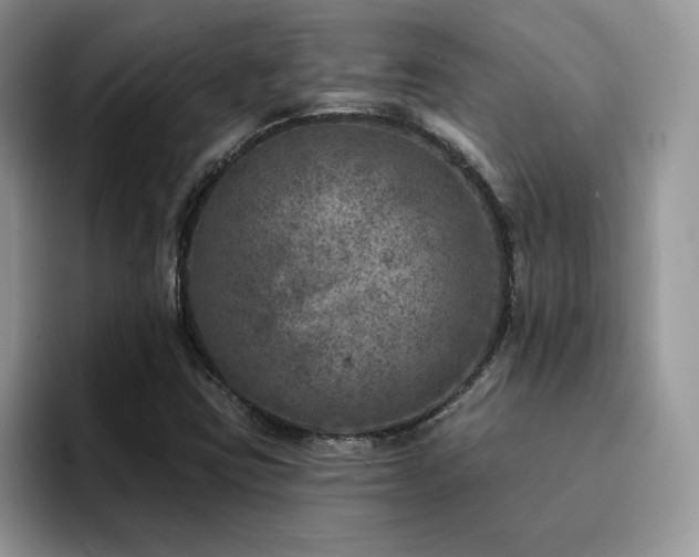X0000094941403200711291344