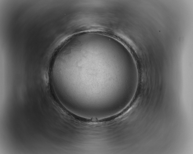 X0000094941407200711291344