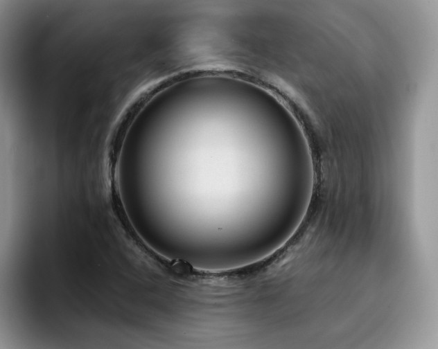 X0000094941408200711291344