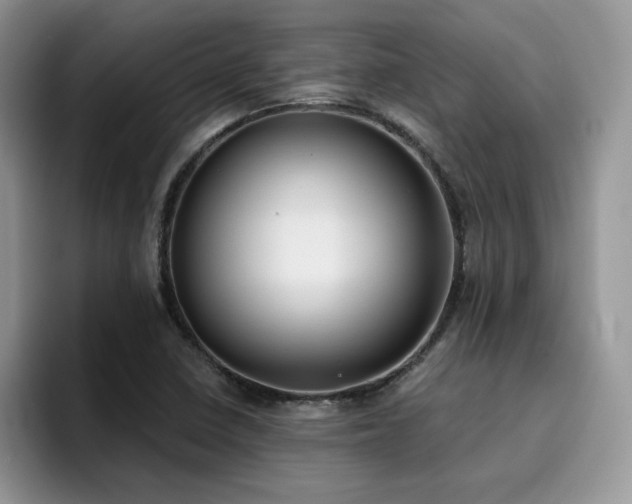 X0000094941410200711291344