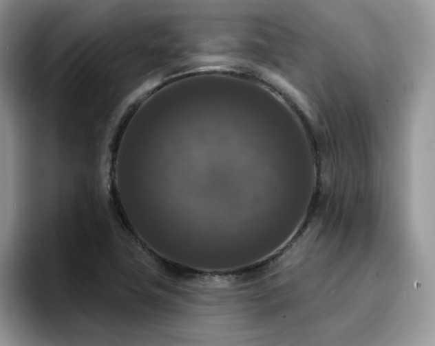 X0000094941411200711291344