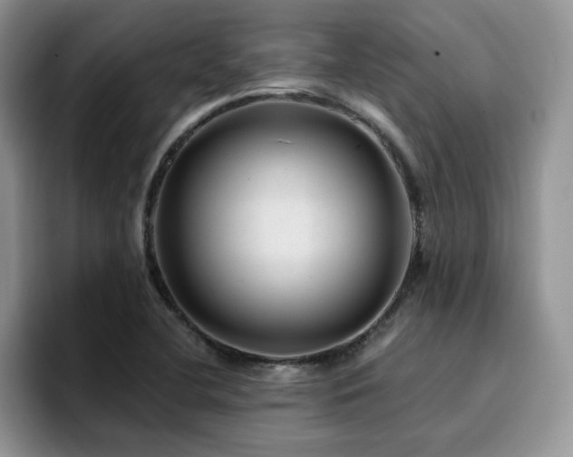 X0000094941412200711291344