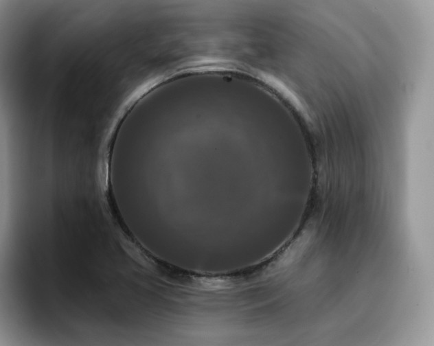 X0000094941413200711291344