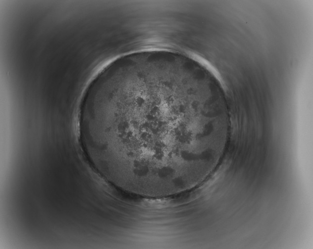 X0000094941415200711291344