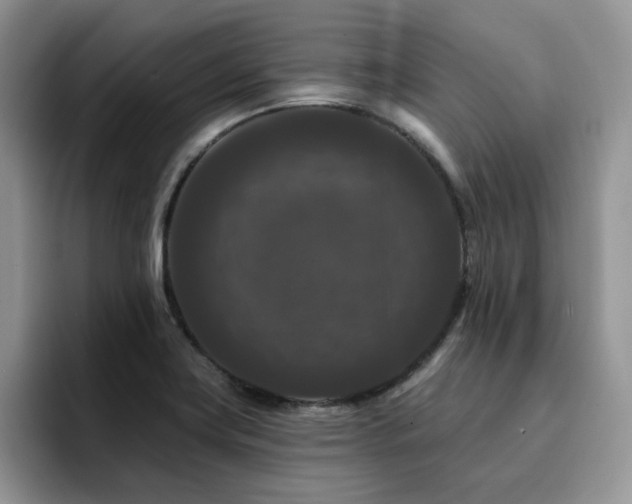 X0000094941419200711291344