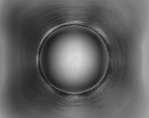 X0000094941420200711291344