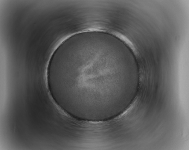 X0000094941423200711291344