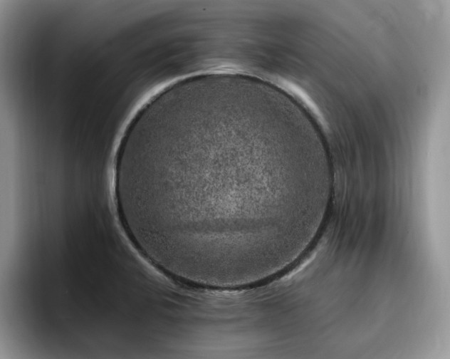 X0000094941424200711291344