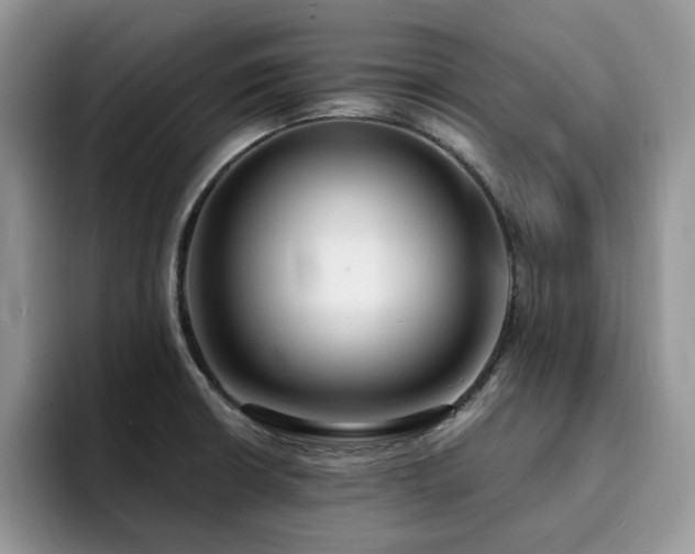 X0000094941426200711291344