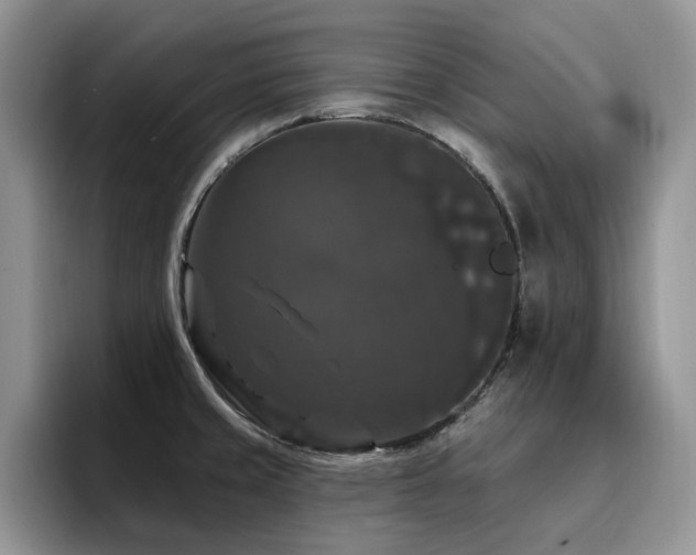 X0000094941429200711291344
