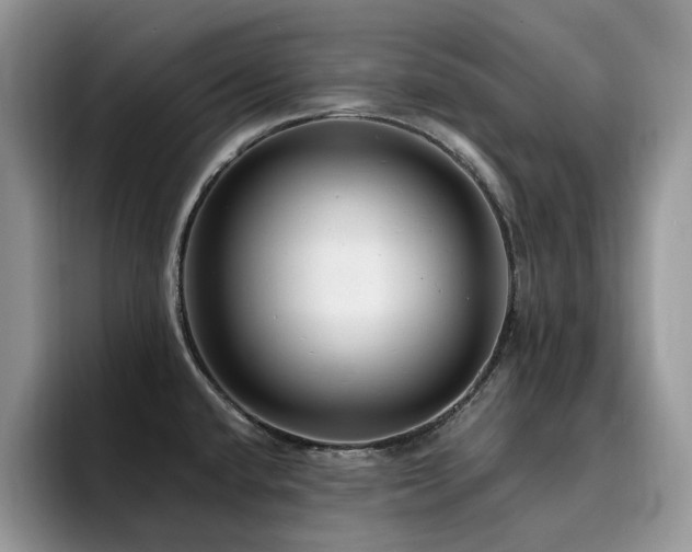 X0000094941432200711291344