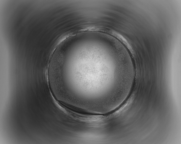 X0000094941433200711291344