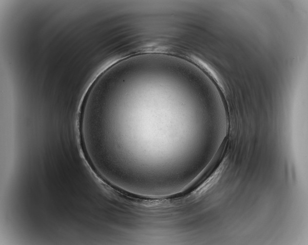 X0000094941434200711291344