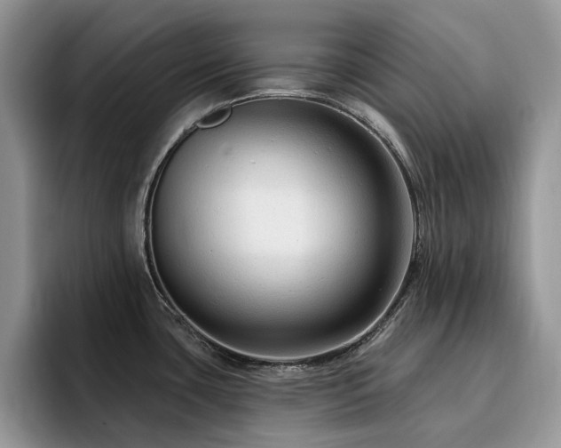 X0000094941435200711291344
