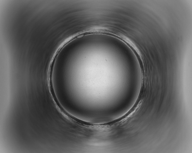 X0000094941437200711291344