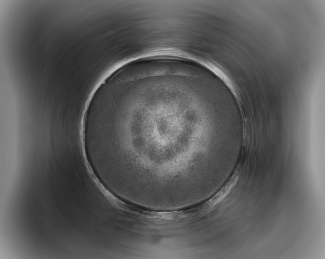 X0000094941438200711291344