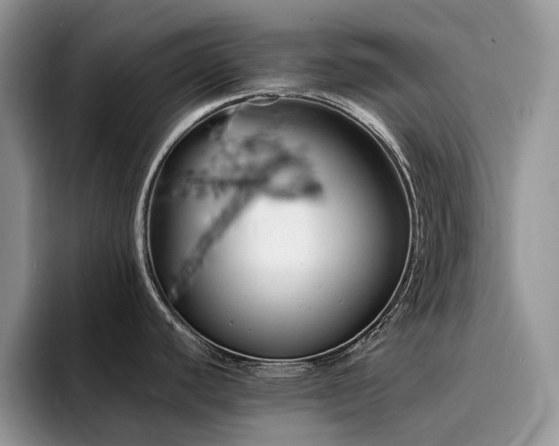 X0000094941440200711291344