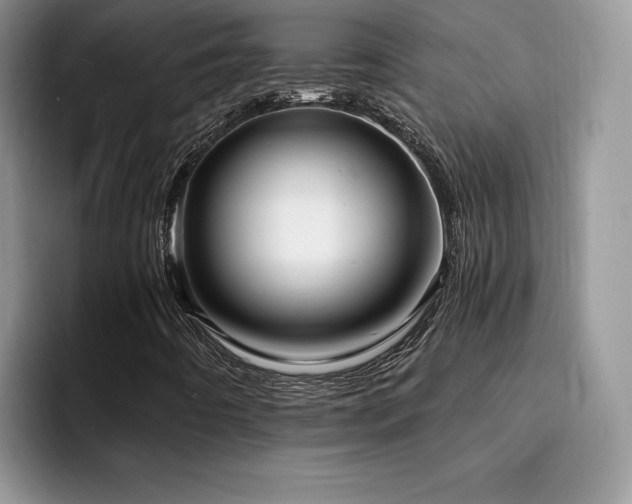X0000094941442200711291344