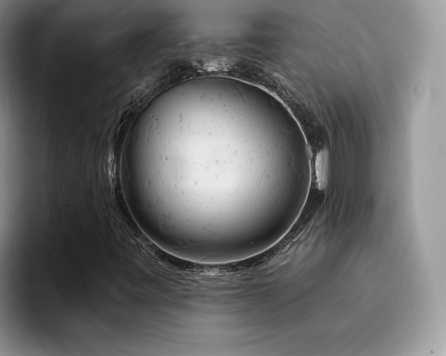 X0000094941443200711291344