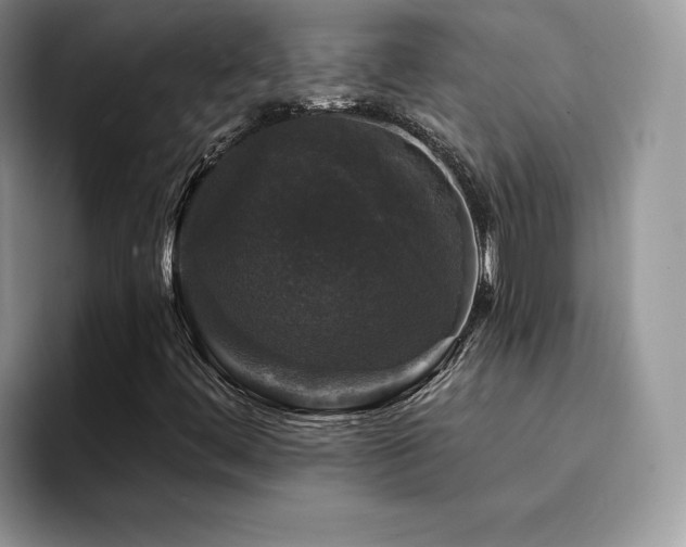 X0000094941444200711291344