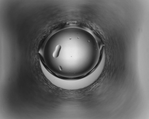 X0000094941445200711291344