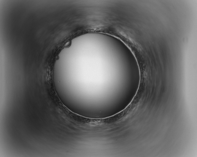 X0000094941447200711291344