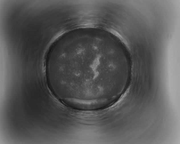 X0000094941450200711291344