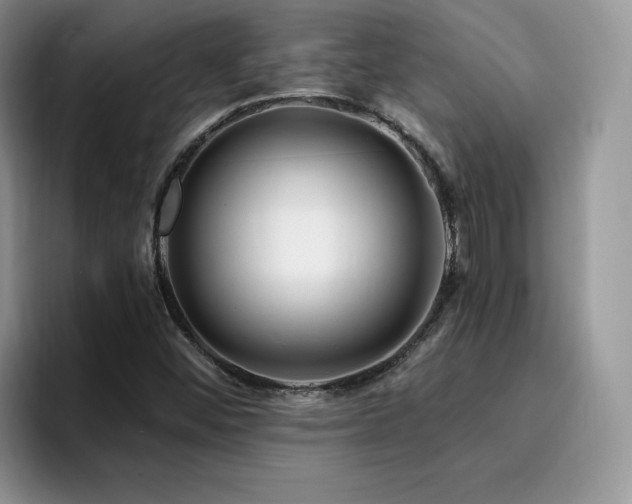 X0000094941452200711291344