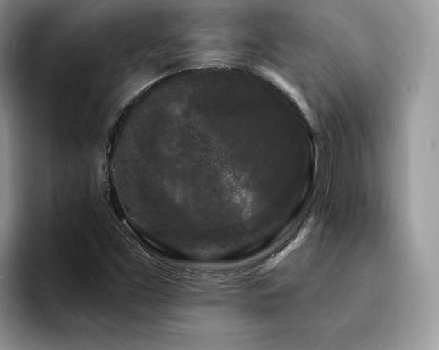 X0000094941453200711291344