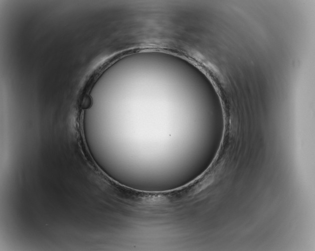 X0000094941454200711291344