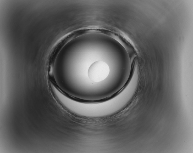 X0000094941456200711291343