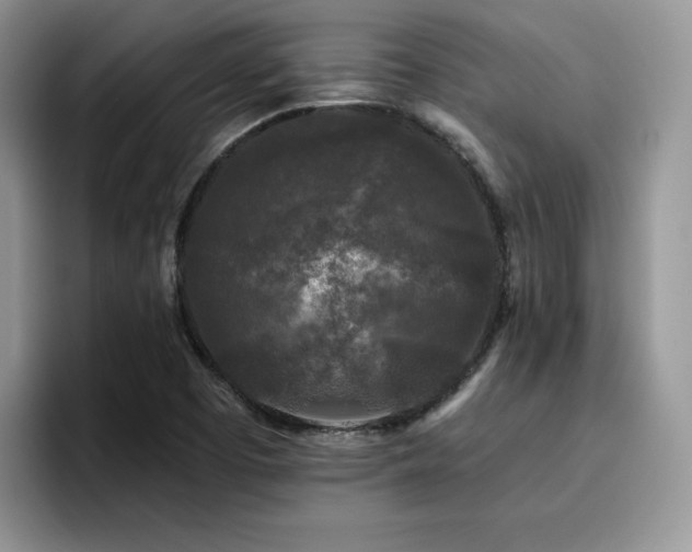 X0000094941457200711291343