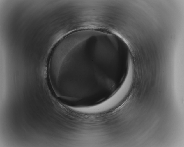 X0000094941459200711291343