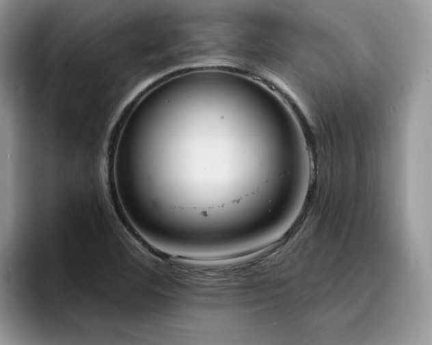 X0000094941460200711291343