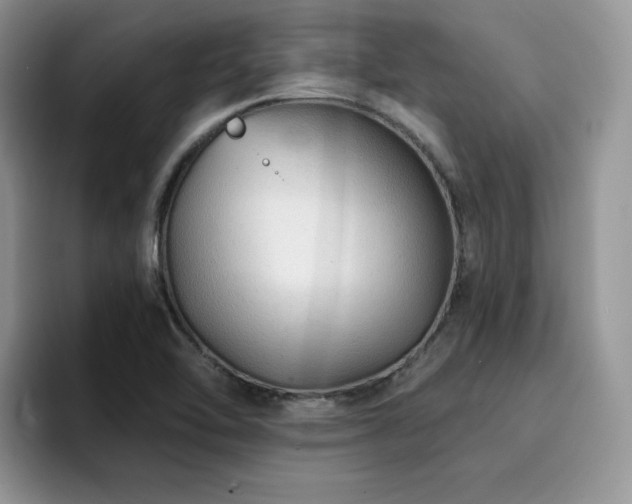 X0000094941462200711291343