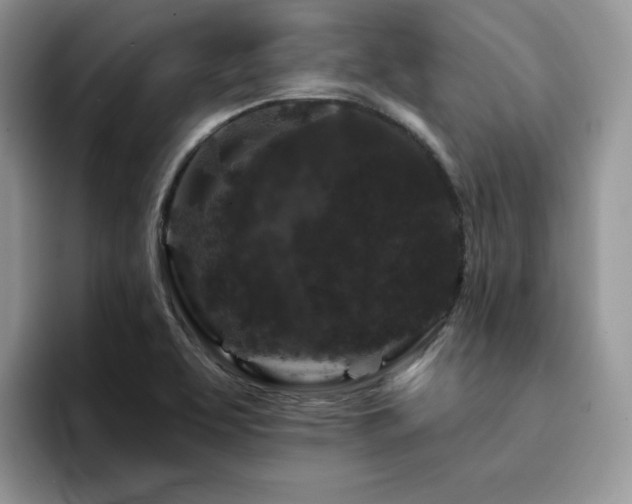 X0000094941463200711291343
