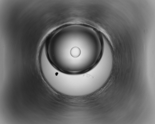 X0000094941464200711291343
