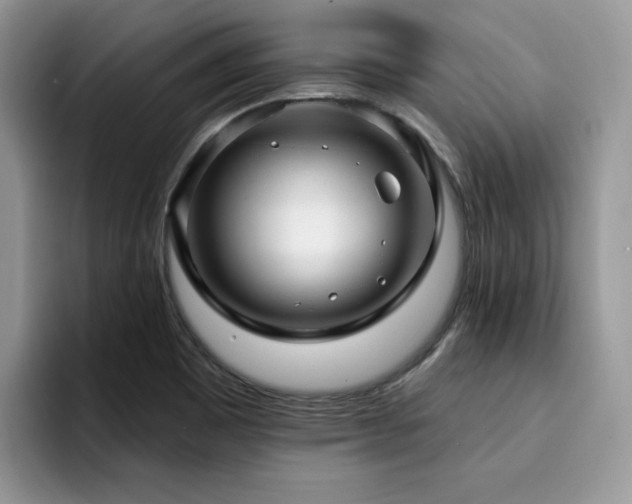 X0000094941465200711291343