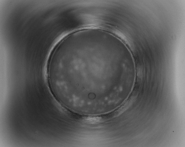 X0000094941466200711291343
