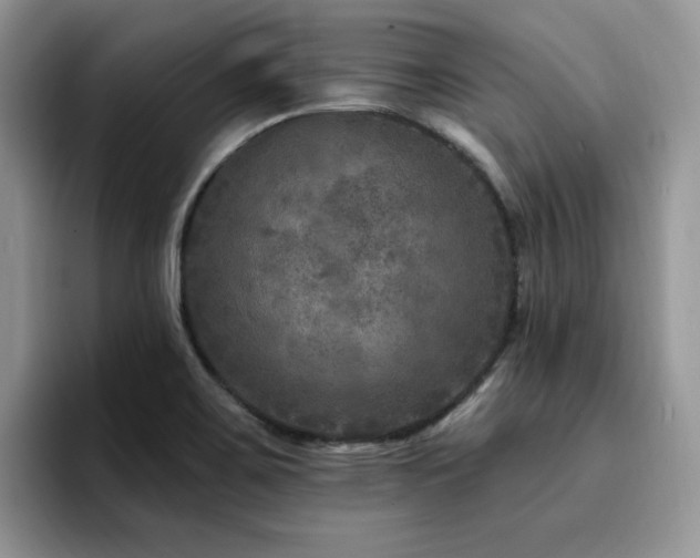 X0000094941467200711291343