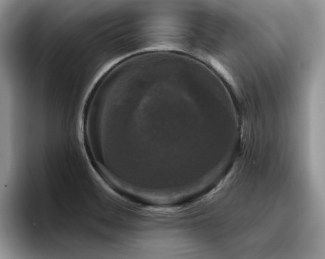 X0000094941468200711291343