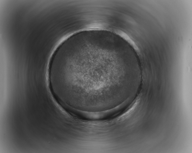 X0000094941469200711291343
