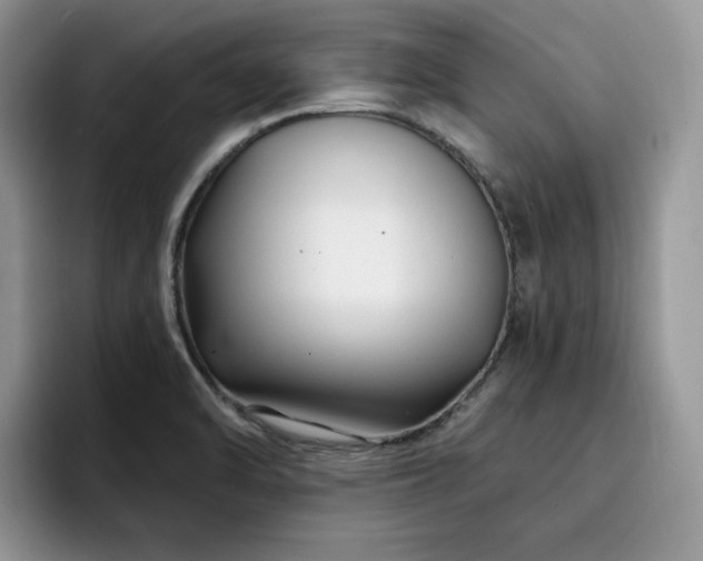 X0000094941470200711291343