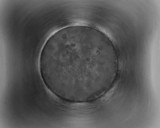 X0000094941471200711291343